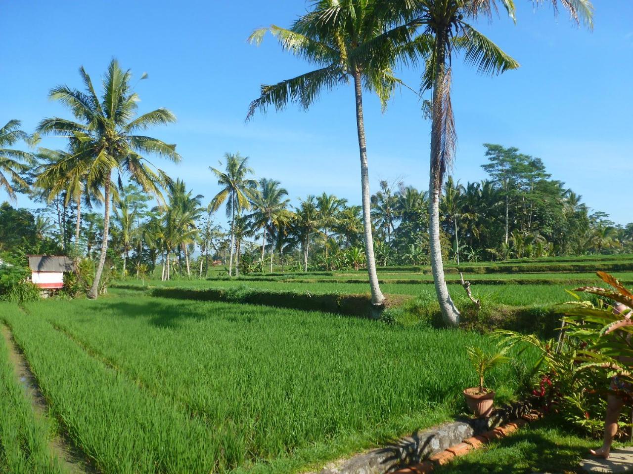 Отель Bali Sawah Indah Убуд Экстерьер фото
