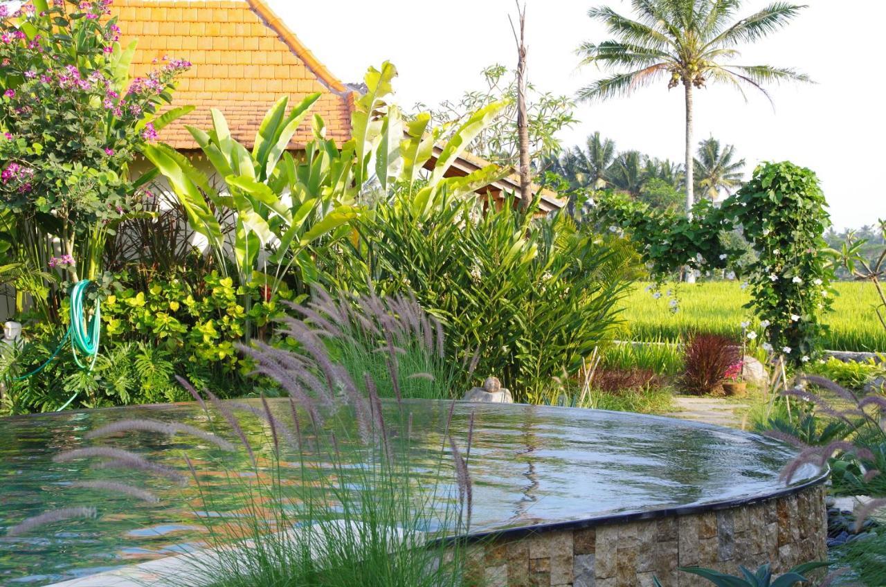 Отель Bali Sawah Indah Убуд Экстерьер фото